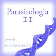 Cronograma- Parasitologia II- Noturno