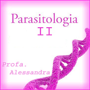 Cronograma- Parasitologia II- Manhã