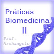 Cronograma Práticas de Biomedicina II